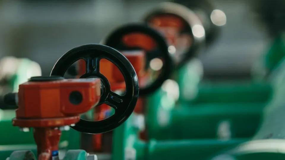 Фото: Администрация г.о. Чехов