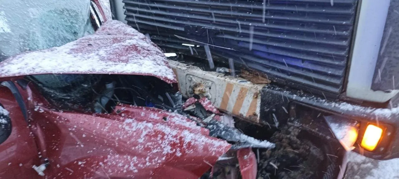 фото: пресс-служба ГКУ МО «Мособлпожспас»