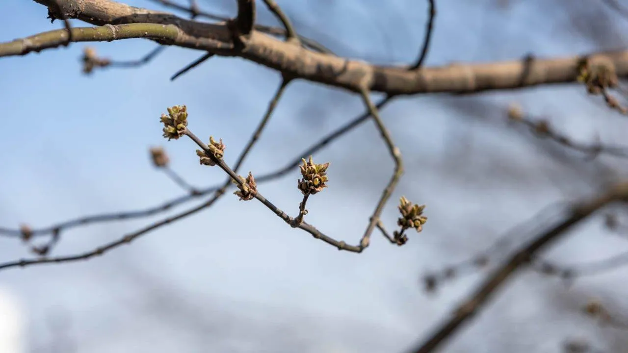 REGIONS/Роман Малышенко