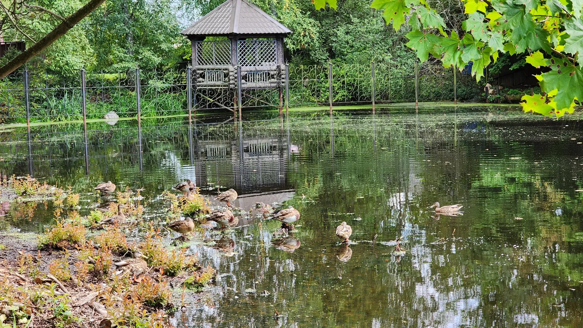 Владимир Киселёв