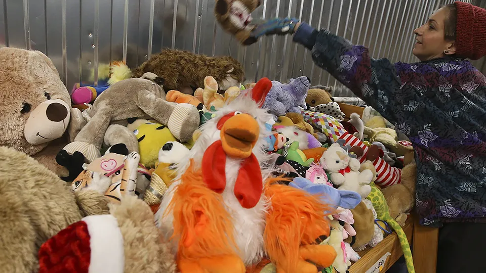 Фото: ТАСС/Артем Коротаев