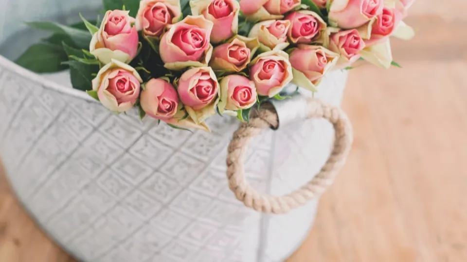 Фото: pxhere.com