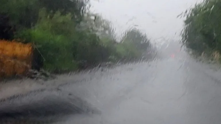 Фото: pxhere.com