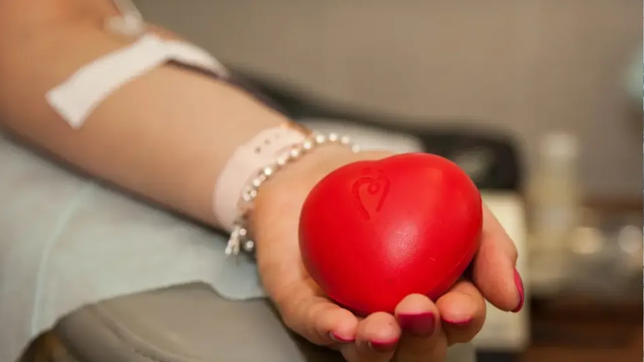 REGIONS/Анна Лобанова