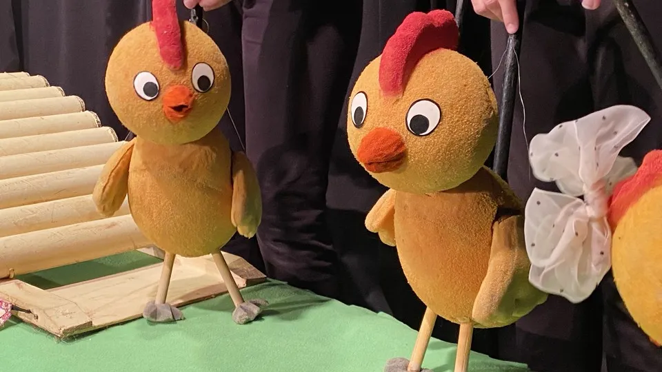 Фото: МедиаБанк Подмосковья/Людмила Михалева