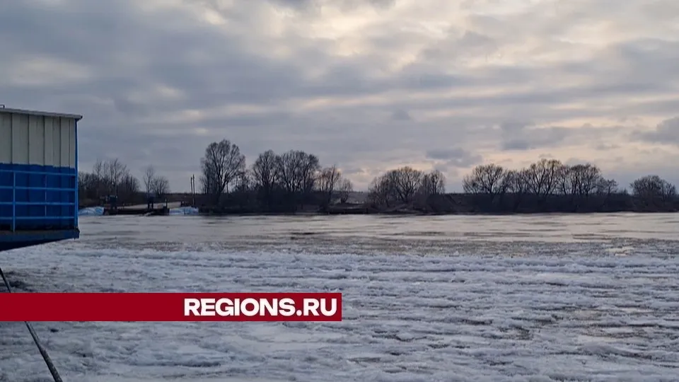 Фото: REGIONS/Валентина Строкова