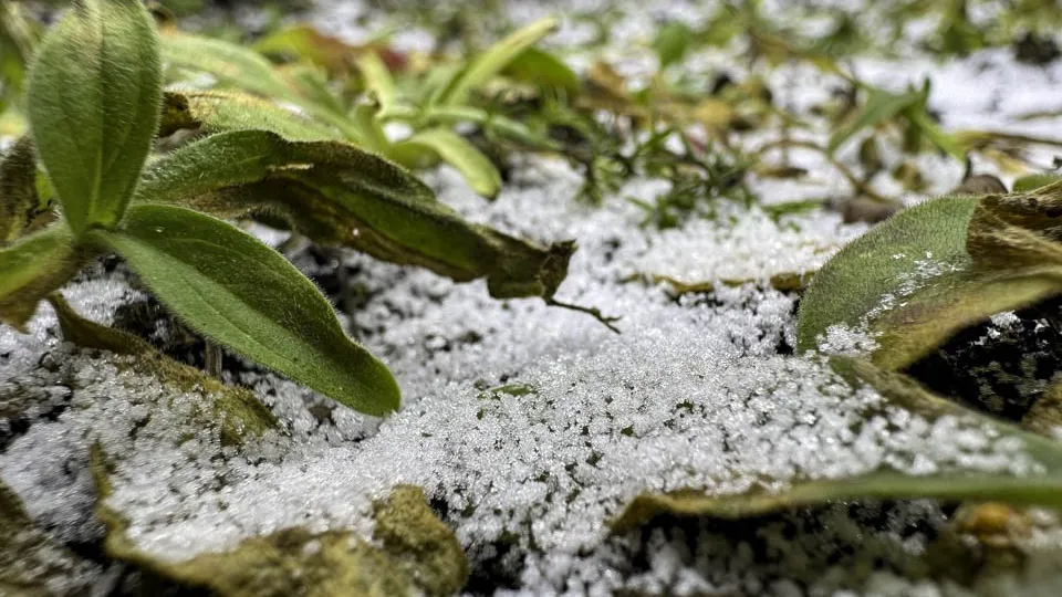 Фото: REGIONS/Владимир Ерастов