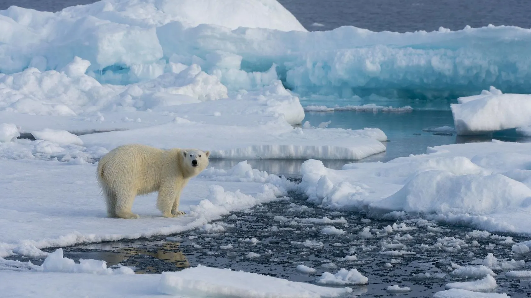 Фото: Pixabay.com