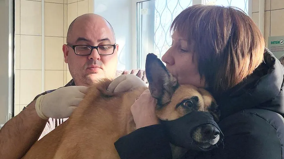 Фото: МедиаБанк Подмосковья/Анна Шолохова