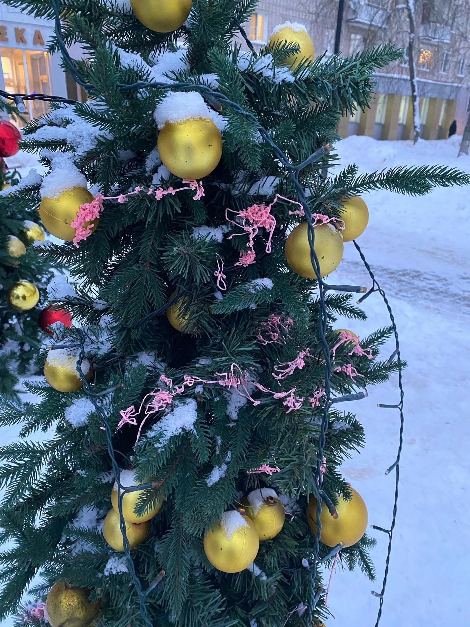 Фото: Подслушано | Истра / ВКонтакте