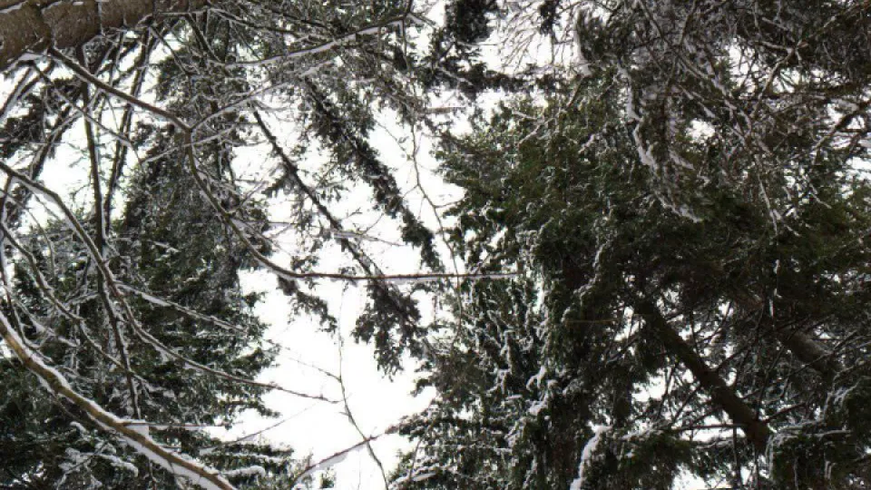 Фото: REGIONS/Роман Малышенко