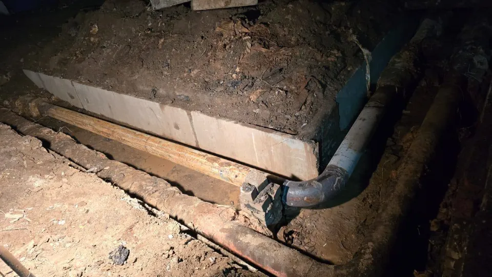 Фото: telegram/Собакин Official