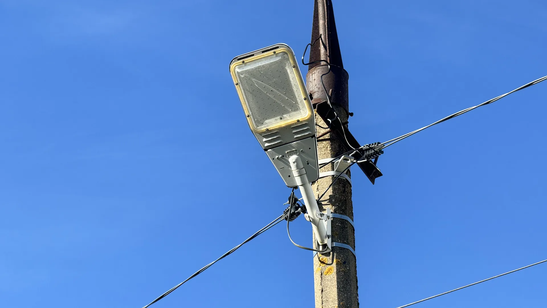 Фото: МедиаБанк Подмосковья/Татьяна Рунова