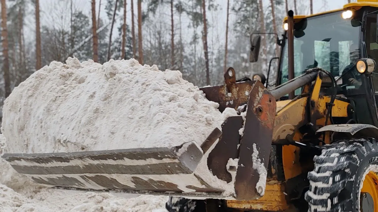 Фото: пресс-служба администрации г.о. Черноголовка