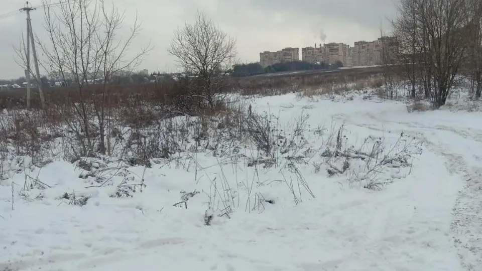 Фото: Администрация г.о. Лосино-Петровский