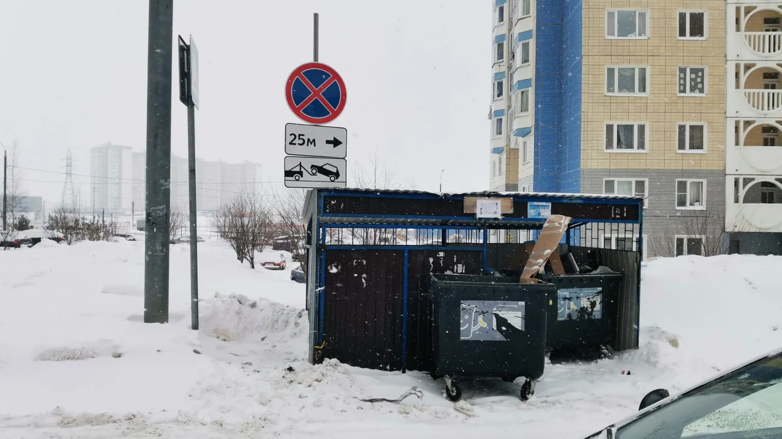 фото - Н. Надточая