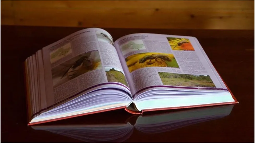 Пресс-служба Министерства экологии и природопользования Московской области