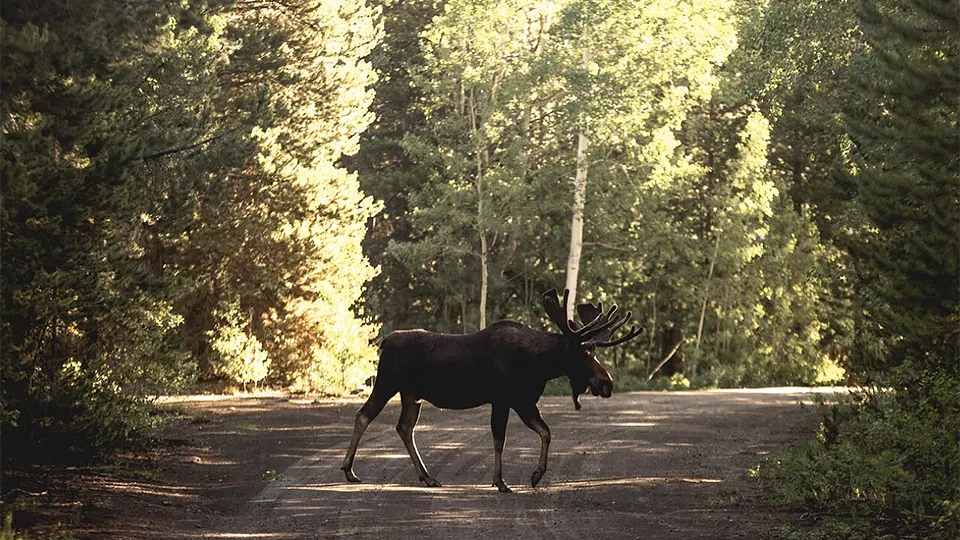 Фото: freepik.com