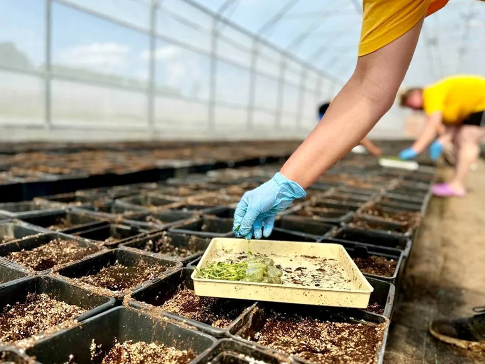 Фото: t.me/vorobiev_live