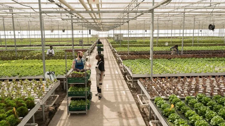 Фото: freepik.com