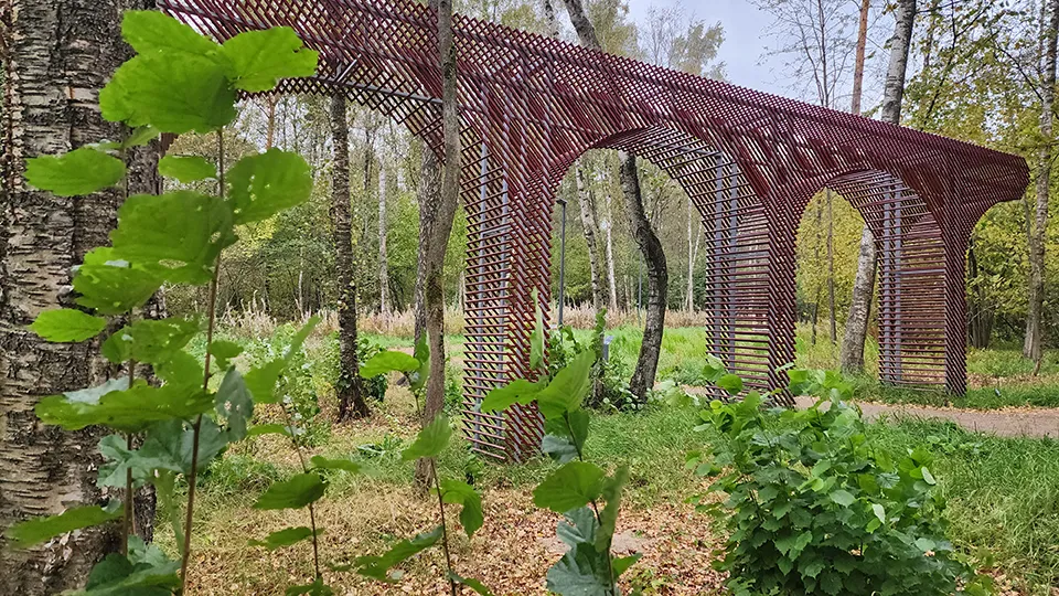 Фото: МедиаБанк Подмосковья/Никита Сморкалов