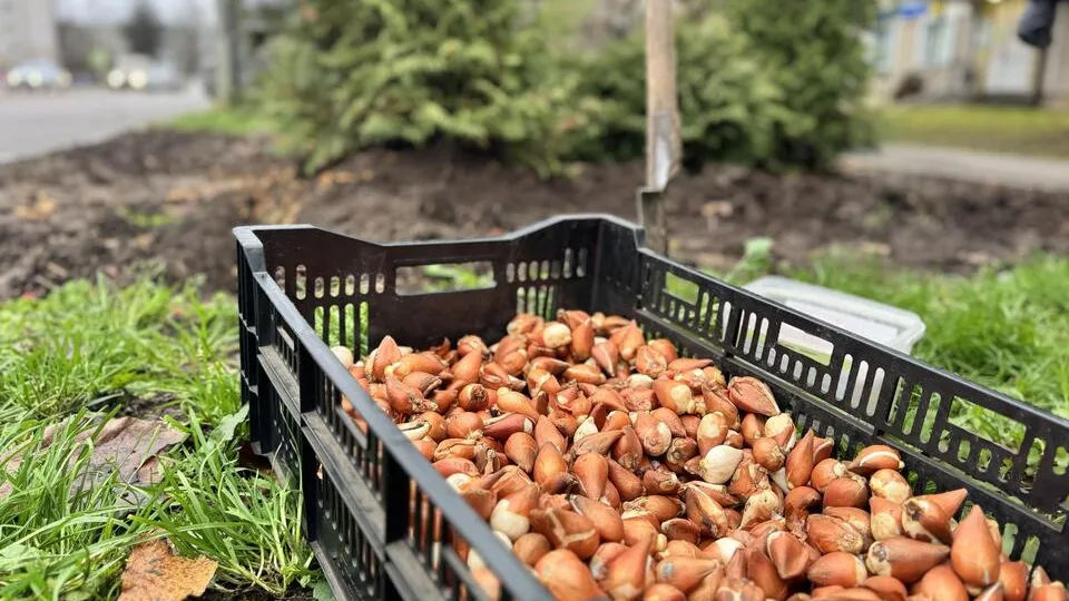 Фото: МедиаБанк Подмосковья/Татьяна Рунова