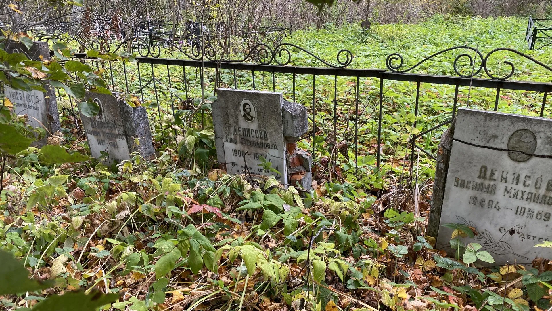 Дарья Шапочкина