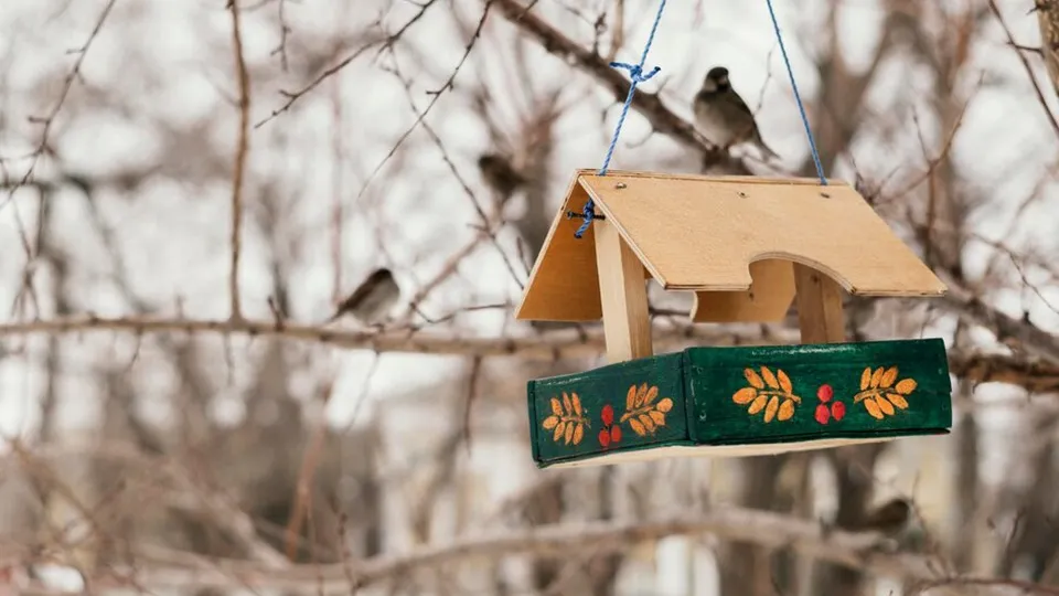 Фото: freepik.com