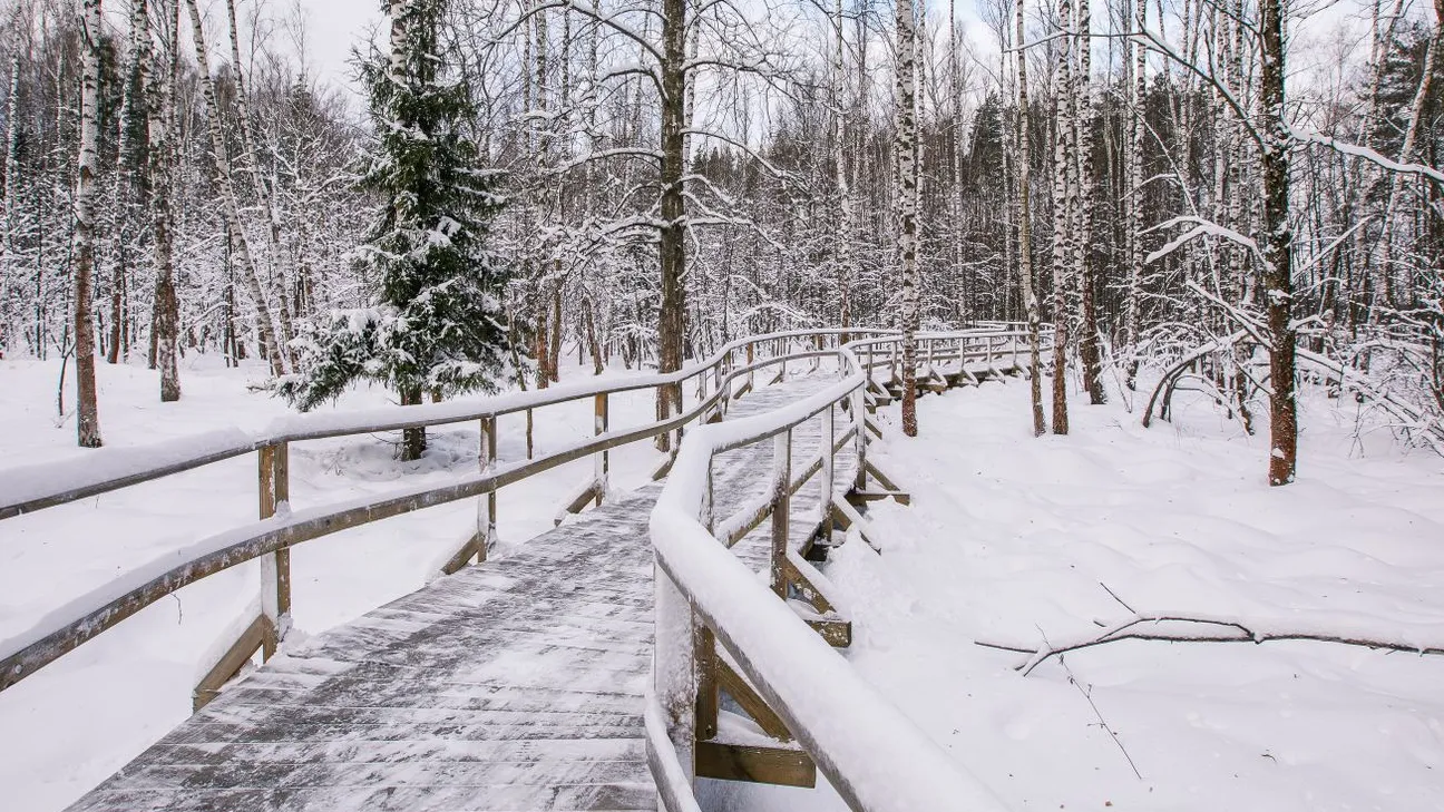 фото: издательство «Подмосковье»