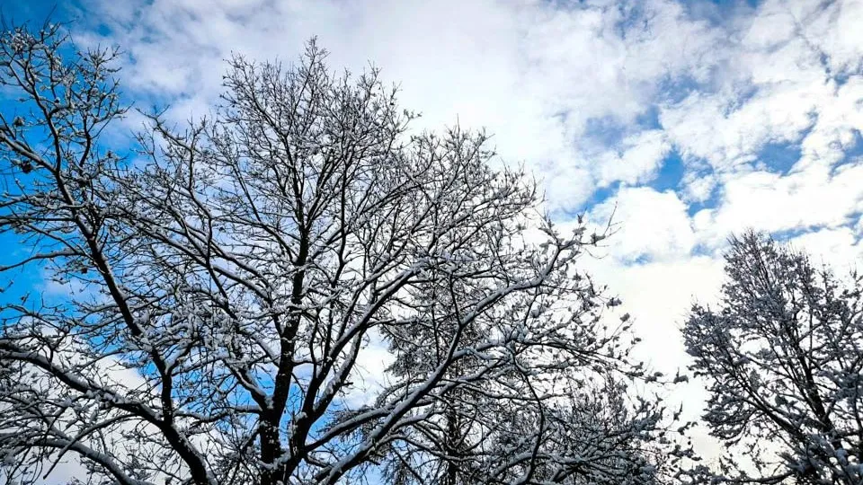 Фото: REGIONS/Алексей Селиверстов