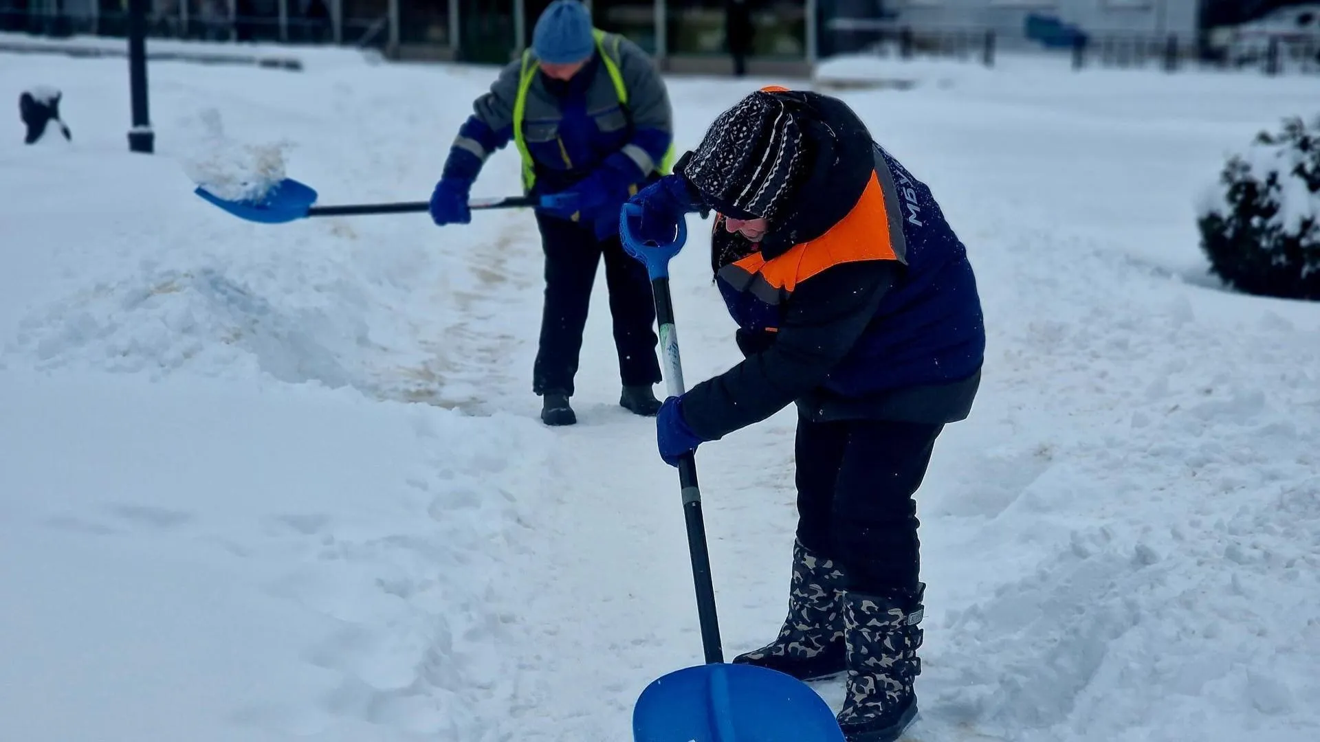 REGIONS/Ольга Шаронова