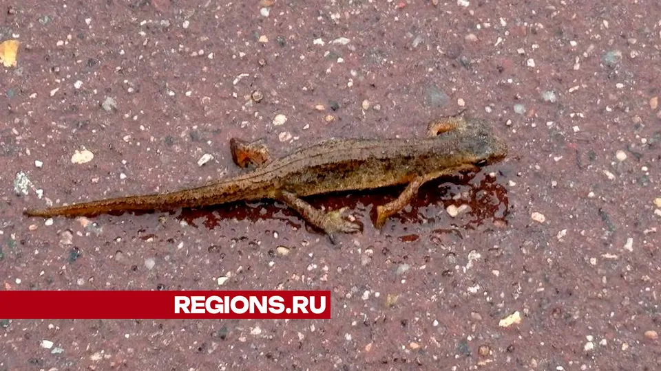 Фото: Евгения Лукова