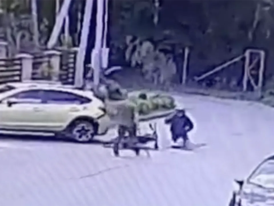 Фото: t.me/mosoblproc