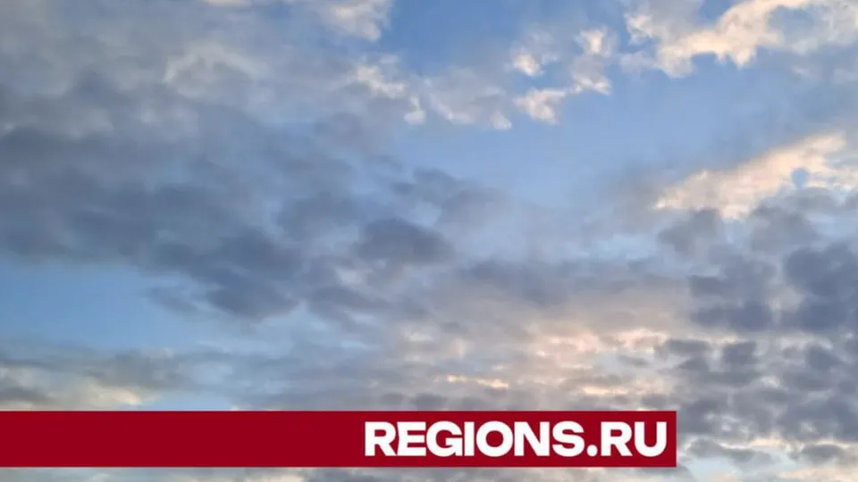 Фото: REGIONS/Юлия Куделькина