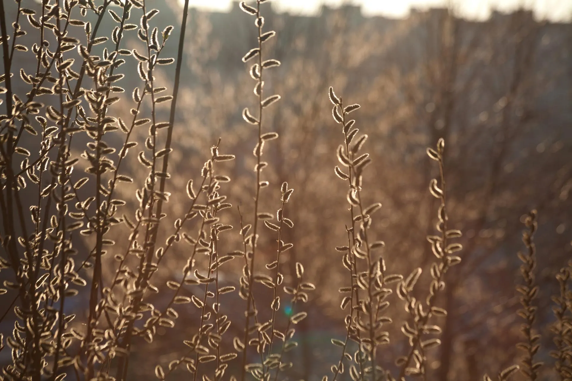 медиасток.рф