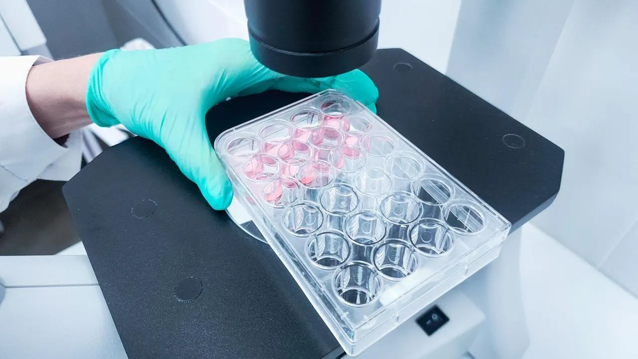 REGIONS/Мария Панина