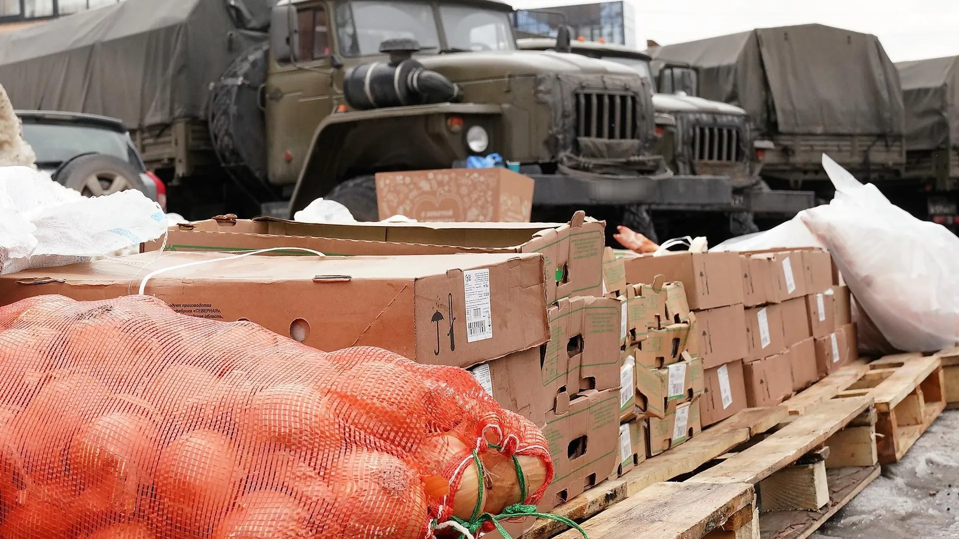 пресс-служба администрации г.о. Реутов