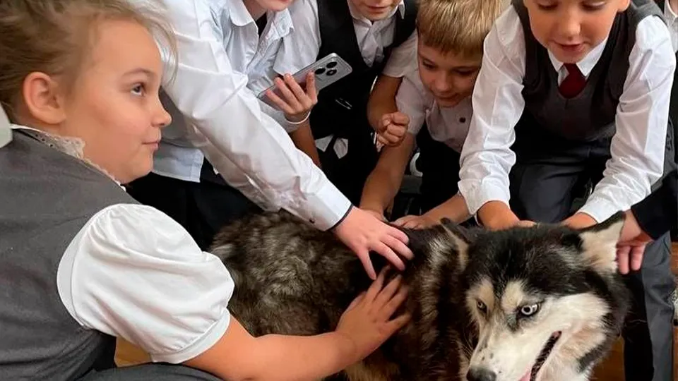 Фото: Детская библиотека г.о. Зарайск