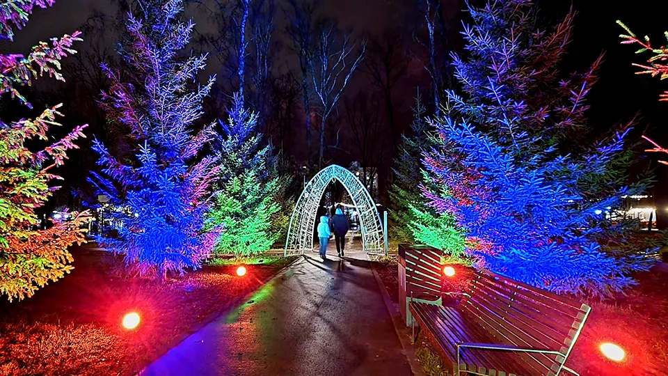 Фото: Андрей Башинский