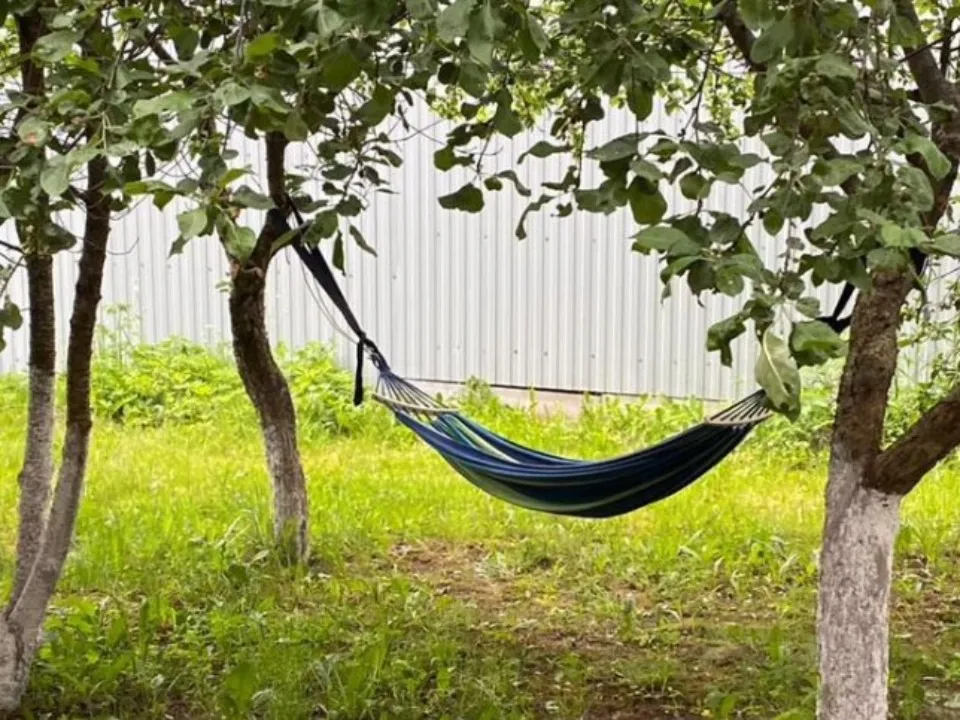 Фото: городская доска объявлений