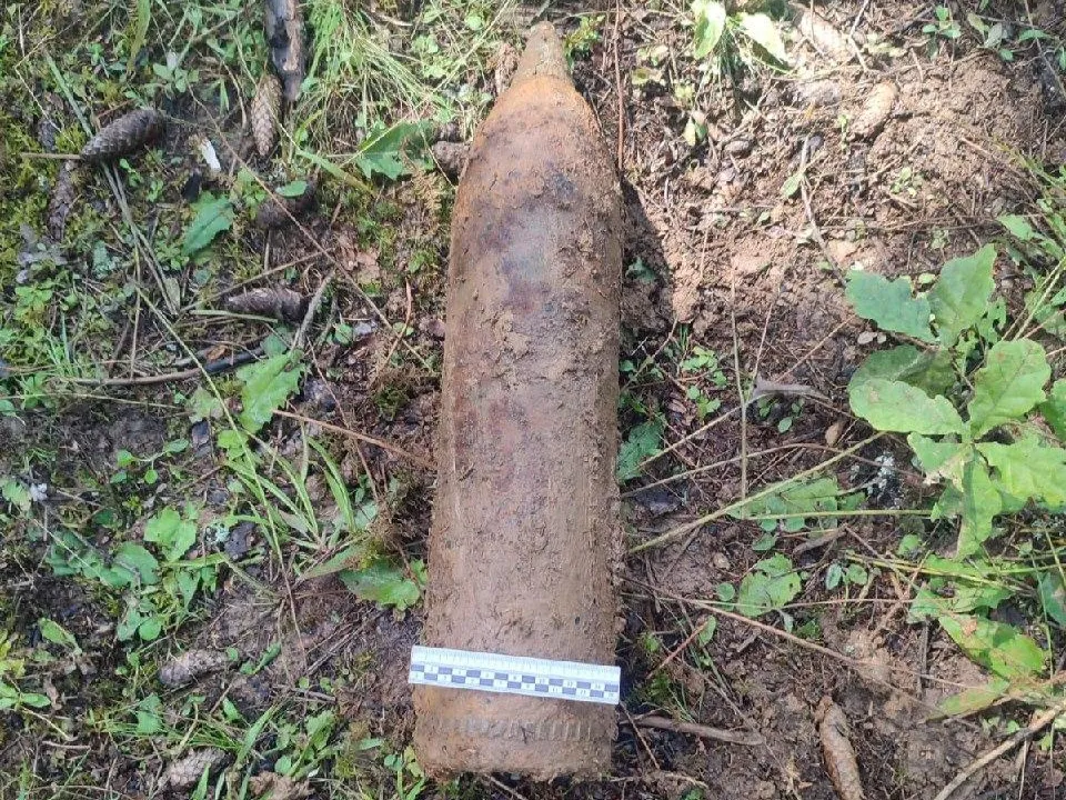 Фото: ГКУ МО «Мособлпожспас»