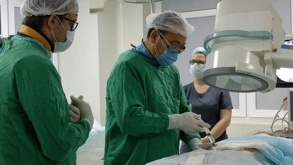 Фото: REGIONS/Артем Мишуков