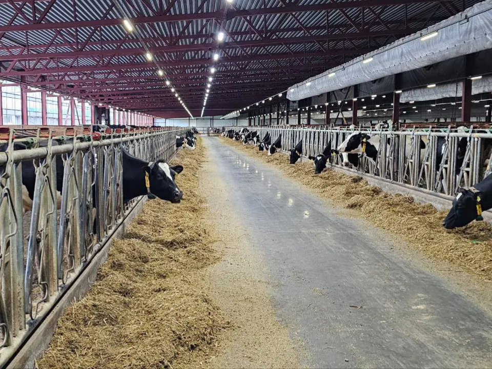 Фото: Агрохолдинг ОСП агро