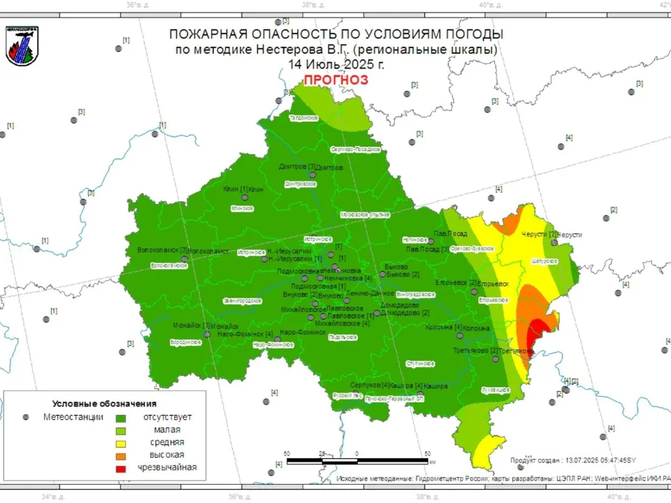 Фото: Комитет лесного хозяйства МО