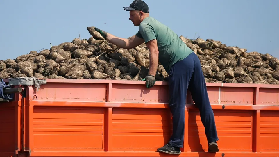 Фото: РИА Новости/Виталий Тимкив