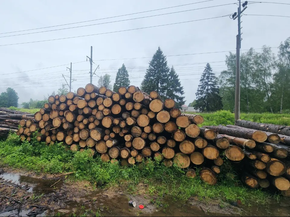 Фото: Хавива Фонина