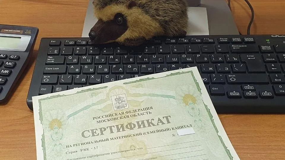 Фото: Министерство социального развития Московской области