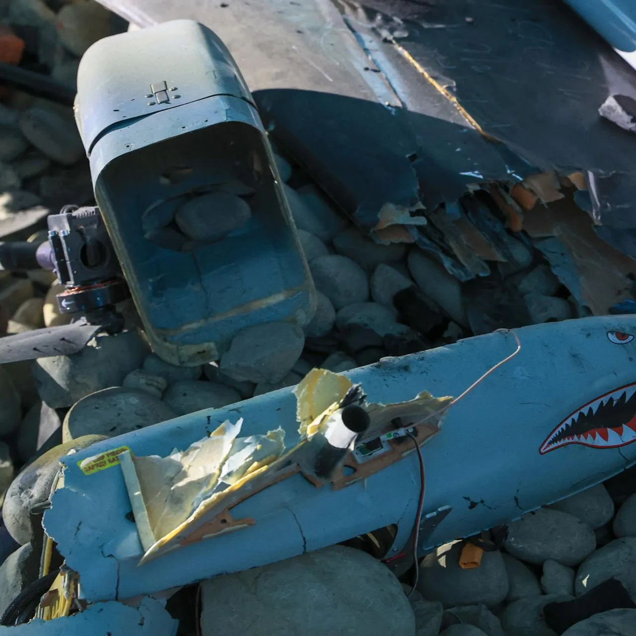 Shatokhina Natalia/news.ru