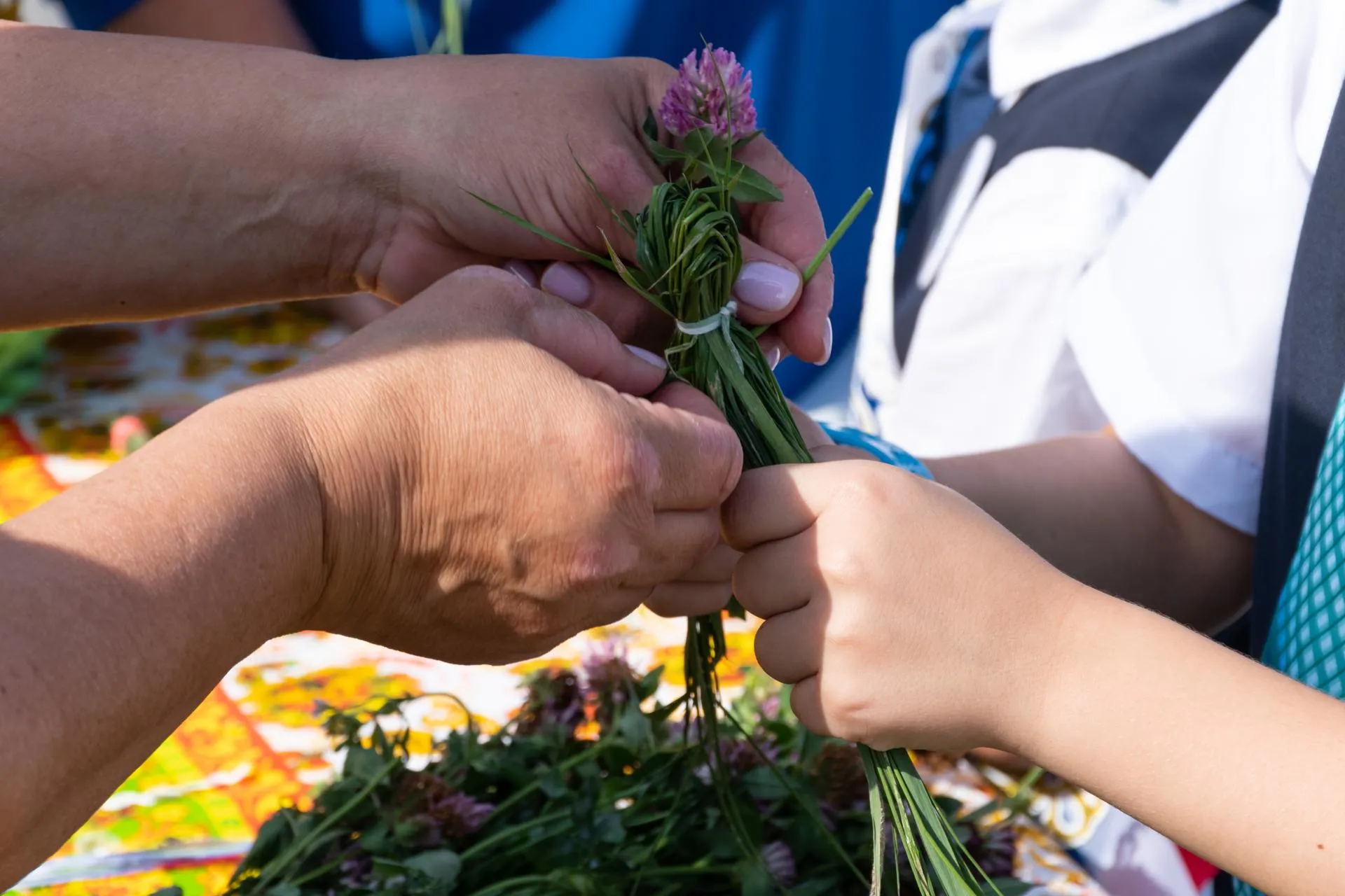 Фото: Евгений Мазепов