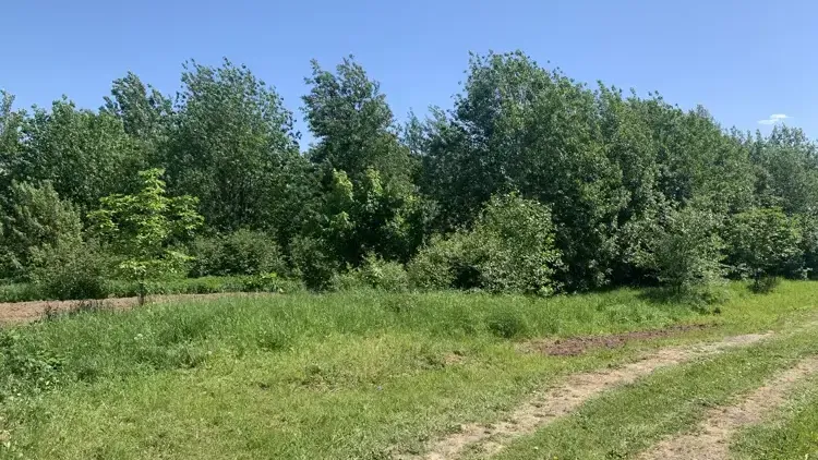 Земельный участок на торгах в Подмосковье